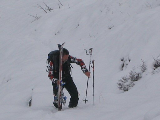 L&#039;Ouille Allegra